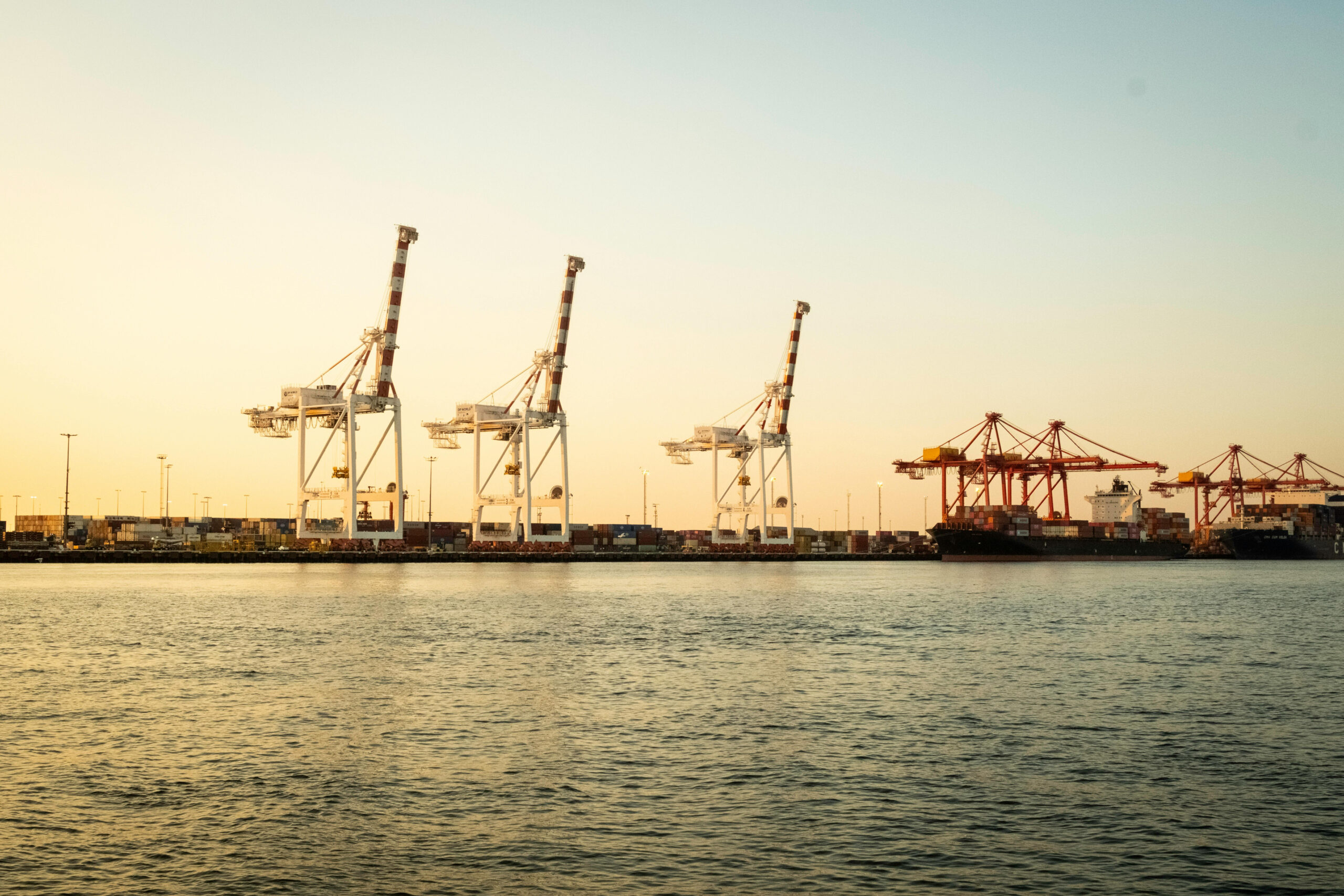 International Trade & Market Access