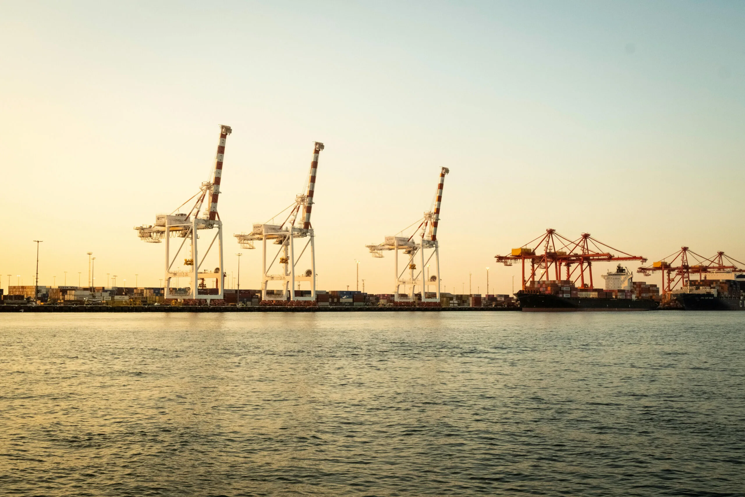 International Trade & Market Access