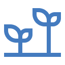 Position organisations for sustainable, long-term growth