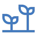 Position organisations for sustainable, long-term growth