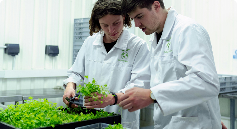 Research & Development