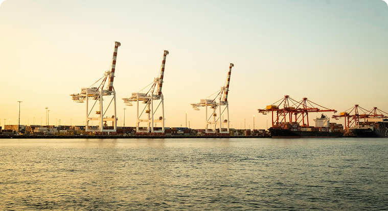 Trade & Market Access