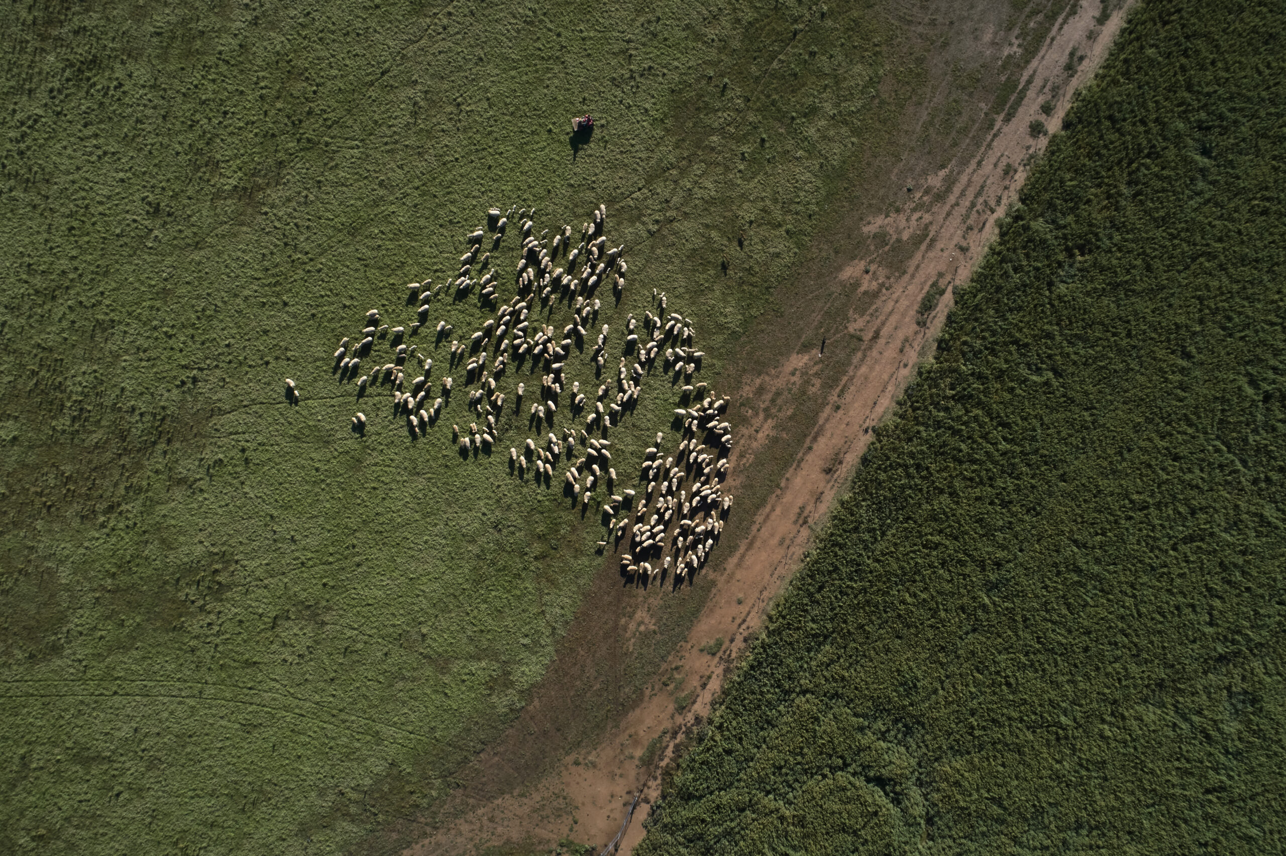 Diversification: More Than a Tick in the Box