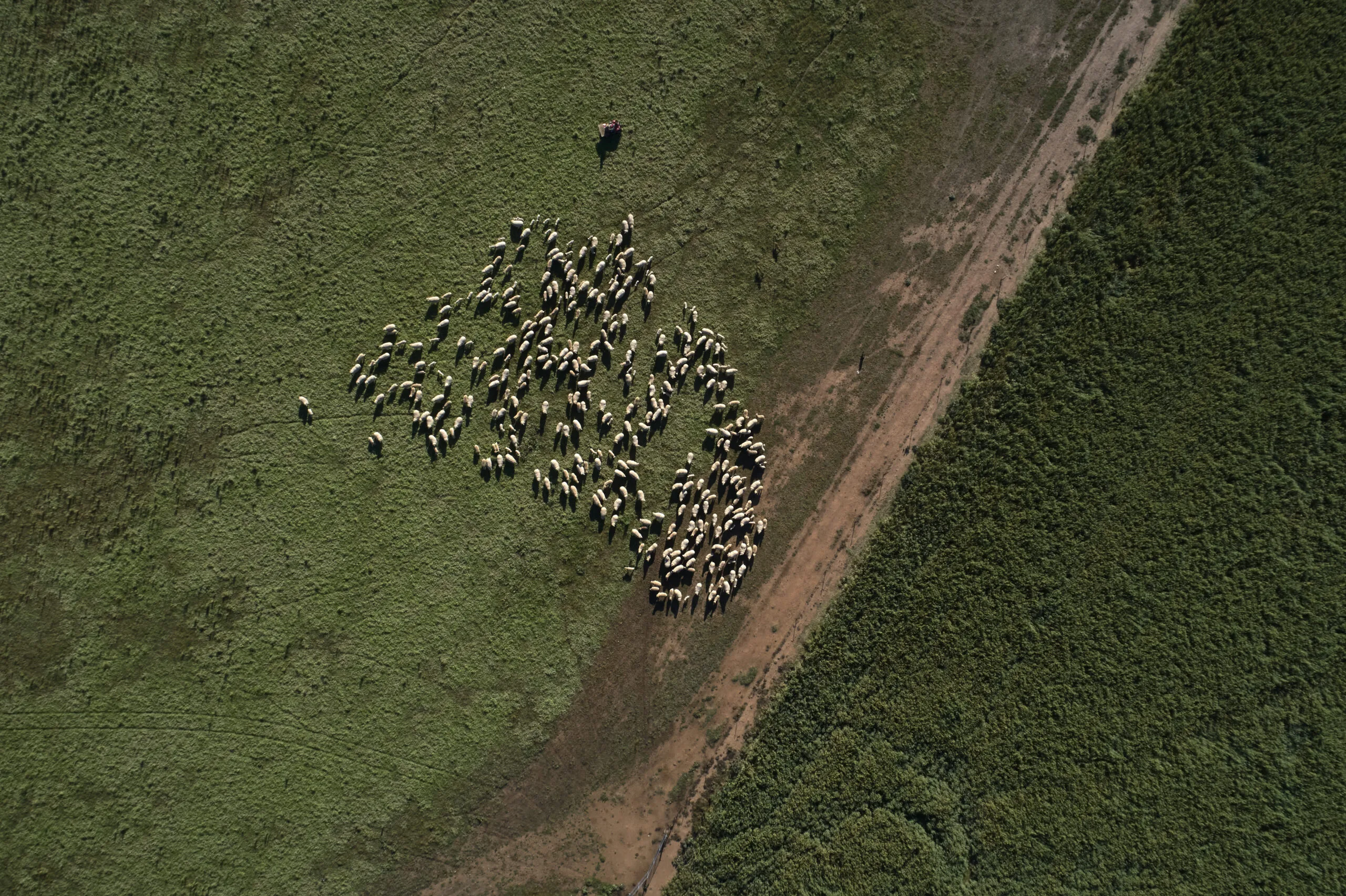 Diversification: More Than a Tick in the Box